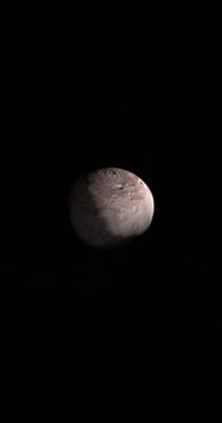 Pallas asteroit dönüyor. Döngü