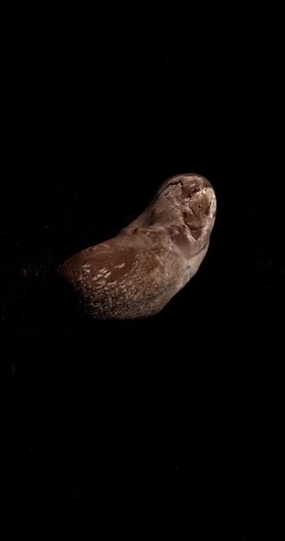 Eros Pietra Asteroide Allungato Del Gruppo Amor Vicino Alla Terra — Video Stock