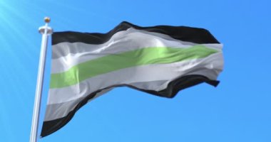 Rüzgarda sallanan cinsiyet gururu bayrağı. Döngü