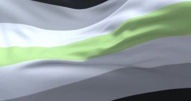 Aseksüel gurur bayrağı sallanıyor. Döngü