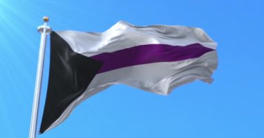 Rüzgâra karşı sallanan yarı seksüel bayrak. Döngü