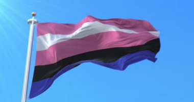 Cinsiyet Akıcı Gurur Bayrağı Dalgalanması. Döngü