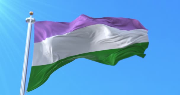 Die Flagge Des Genderqueer Stolzes Weht Schleife — Stockvideo