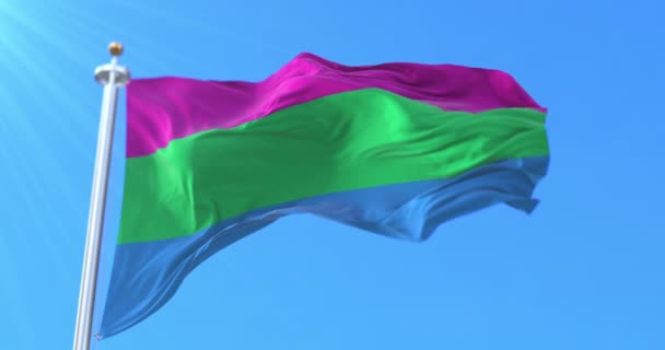 Polysexualita Pride Flag Waving Smyčka — Stock video
