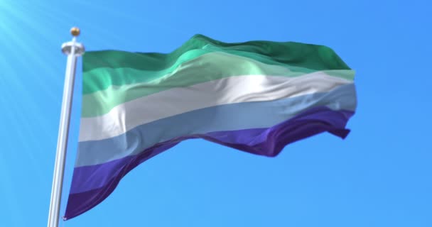 Trans Inclusive Gay Men Flag Waving Bucle — Vídeos de Stock