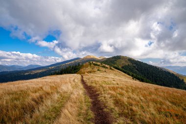 Karpatlar 'daki güzel sonbahar dağları. Güneşli havada dağlarda bir yürüyüş.. 