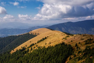 Karpatlar 'daki güzel sonbahar dağları. Güneşli havada dağlarda bir yürüyüş.. 