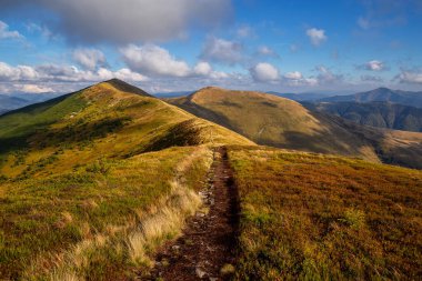Karpatlar 'daki güzel sonbahar dağları. Güneşli havada dağlarda bir yürüyüş.. 