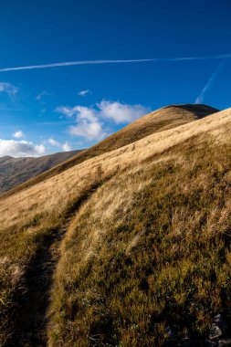 Karpatlar 'daki güzel sonbahar dağları. Güneşli havada dağlarda bir yürüyüş.. 