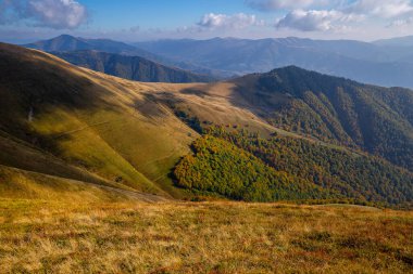 Karpatlar 'daki güzel sonbahar dağları. Güneşli havada dağlarda bir yürüyüş.. 