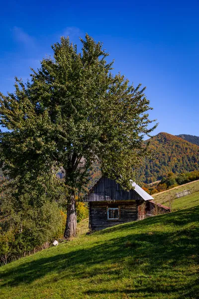 Drewniany Dom Dla Turystów Jesiennych Karpatach — Zdjęcie stockowe