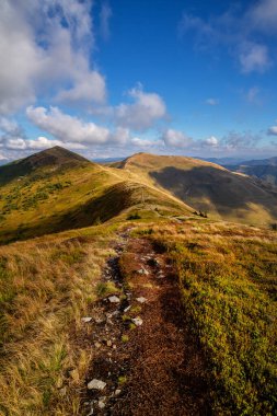 Karpatlar 'daki güzel sonbahar dağları. Güneşli havada dağlarda bir yürüyüş.. 