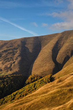 Karpatlar 'daki güzel sonbahar dağları. Güneşli havada dağlarda bir yürüyüş.. 
