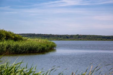 Güneşli bir günde köyde bataklık olan bir nehir.. 