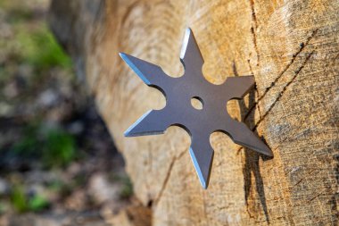 Shuriken (fırlatma yıldızı), geleneksel Japon Ninja soğuk silahı ahşap arka planda sıkışmış