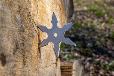 Shuriken (fırlatma yıldızı), geleneksel Japon Ninja soğuk silahı ahşap arka planda sıkışmış
