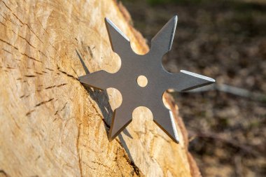 Shuriken (fırlatma yıldızı), geleneksel Japon Ninja soğuk silahı ahşap arka planda sıkışmış