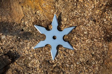 Shuriken (fırlatma yıldızı), geleneksel Japon Ninja soğuk silahı ahşap arka planda sıkışmış