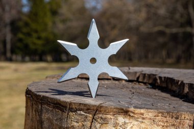 Shuriken (fırlatma yıldızı), geleneksel Japon Ninja soğuk silahı ahşap arka planda sıkışmış
