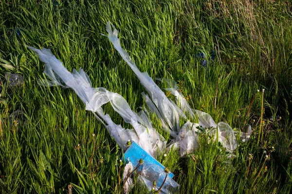 一个塑料袋粘在灌木丛和树上的树枝上 世界上的生态问题 — 图库照片