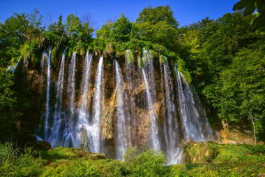Plitvice Gölleri Milli Parkı'nda güzel şelale. Hırvatistan