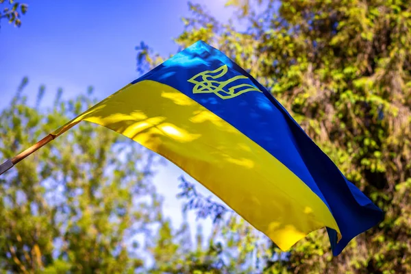 Bandera Ucrania Bajo Los Rayos Del Sol Verano — Foto de Stock