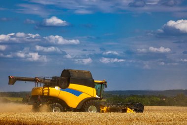 Olgun buğday hasat eden hasatçıyı birleştirin. Savaş sırasında Ukrayna 'da hasat ve tahıl için dünya krizi..