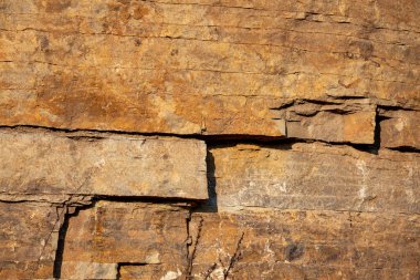 Stone texture detail, close up shot of rock surface for background and design.