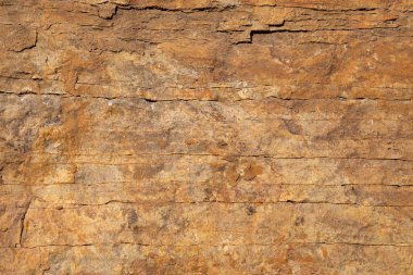 Stone texture detail, close up shot of rock surface for background and design.