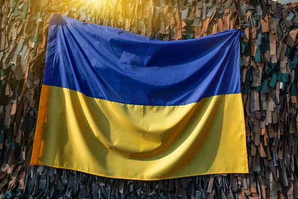 Flag Ukraine Camouflage Net Symbol Independent Ukraine — Foto de Stock
