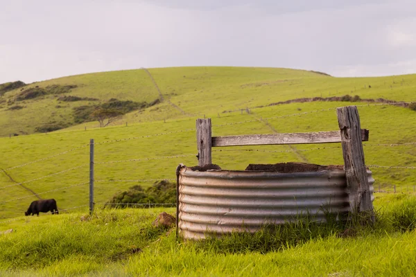 Eski su deposu ile yeşil tepeler inek çayırında Telifsiz Stok Imajlar