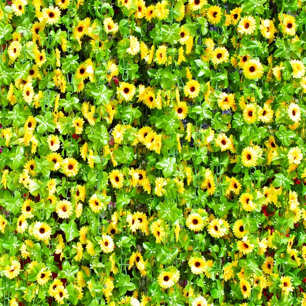 Sunflower curtains — Stock Photo, Image