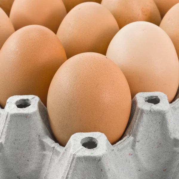 Eggs — Stock Photo, Image