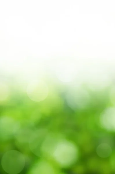 Natural green bokeh — Stock Photo, Image