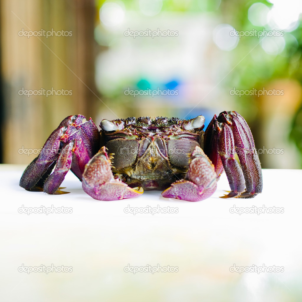 Salted crab.