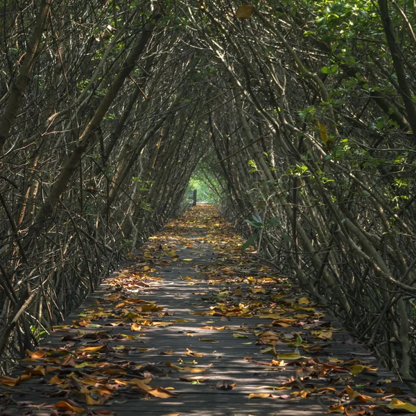 Ponte de madeira — Fotografia de Stock