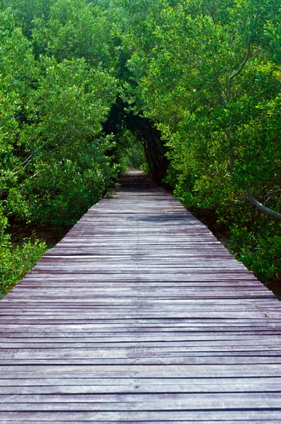 Ponte di legno — Foto Stock