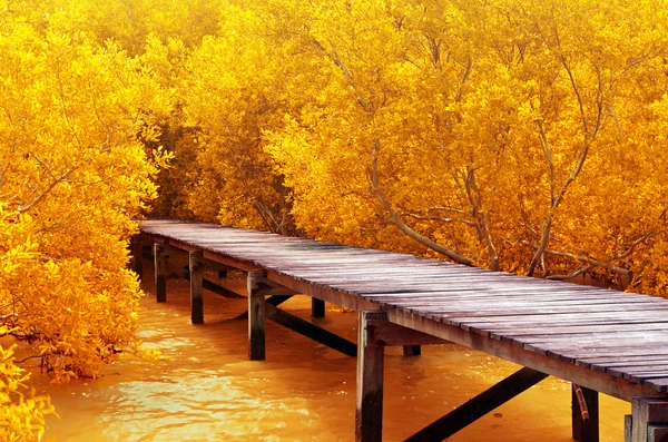 Wood bridge — Stock Photo, Image