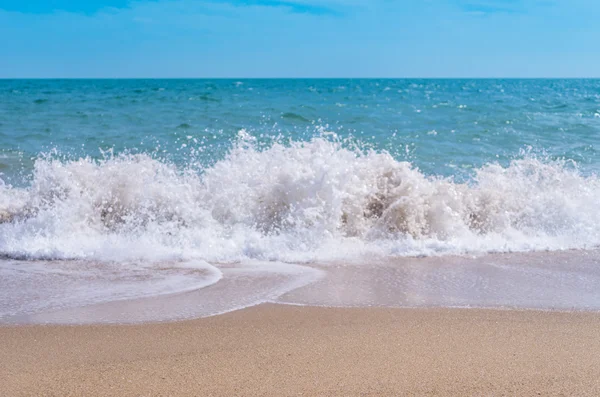 Tropical beach — Stock Photo, Image