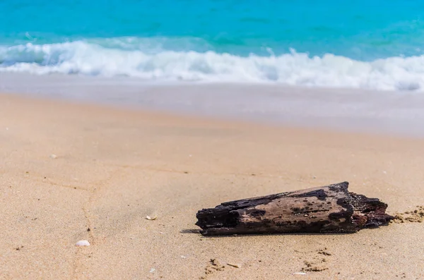 Spiaggia tropicale — Foto Stock