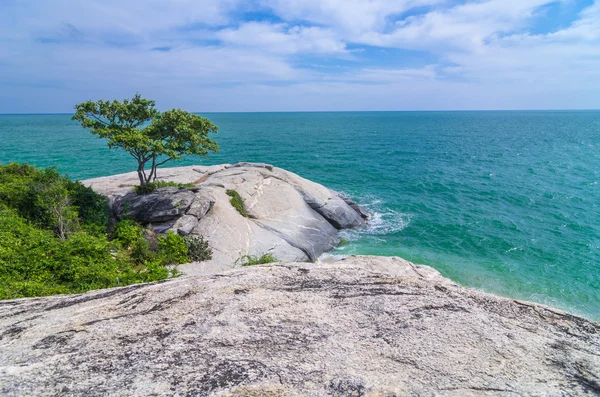 Rotsen op zee met boom. — Stockfoto