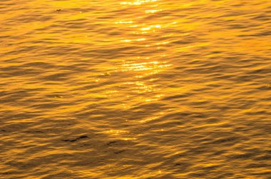 Altın su dalgaları.