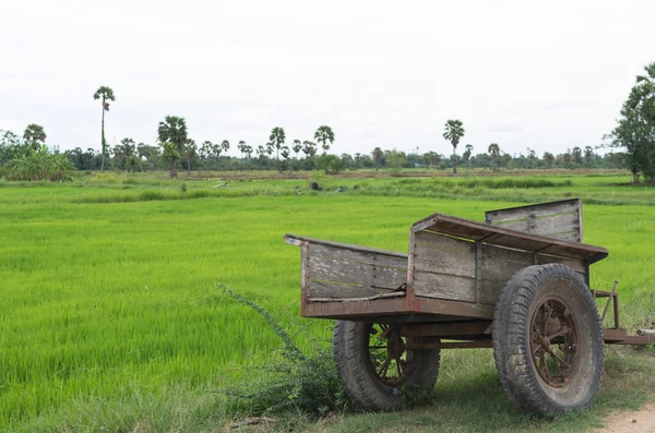 Agricultores de camiones — Foto de Stock