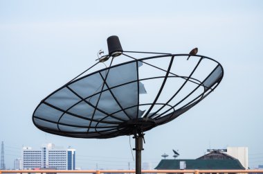 Uydu anteni