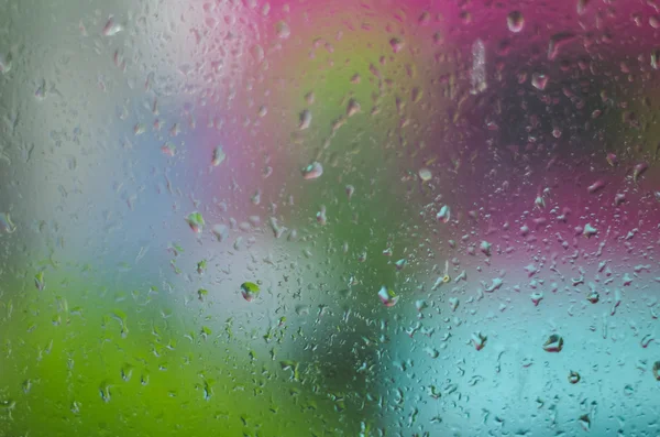 Drops of rain — Stock Photo, Image
