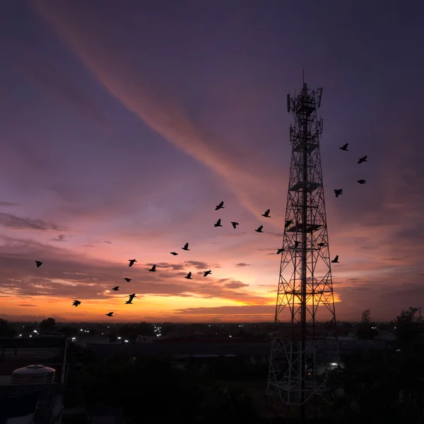 Siluetleri telekomünikasyon Kulesi — Stok fotoğraf