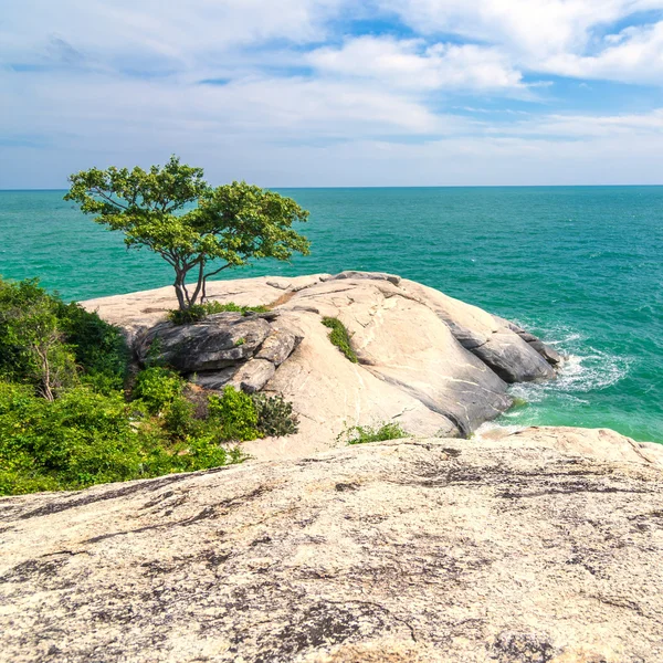 Tropical beach — Stock Photo, Image