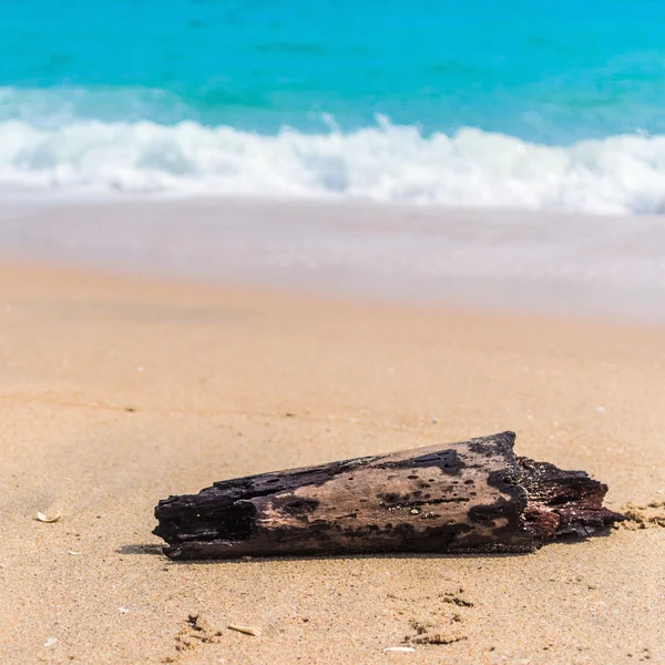 Tropical beach — Stock Photo, Image