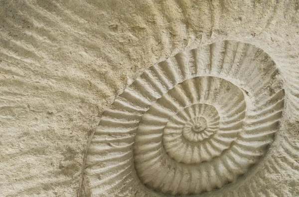 Textura de piedra — Foto de Stock