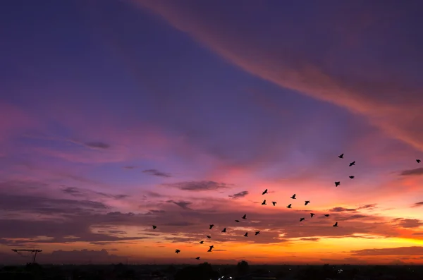 Solnedgång himlen panorama. — Stockfoto